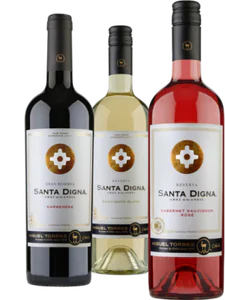 Santa Digna - Weinpaket Chile